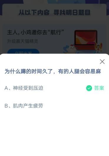 为什么蹲的时间久了，有的人腿会容易麻?支付宝蚂蚁庄园5月14日答案截图