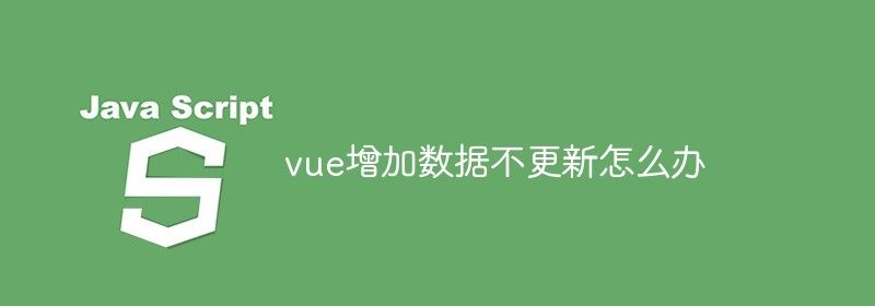 vue增加数据不更新怎么办