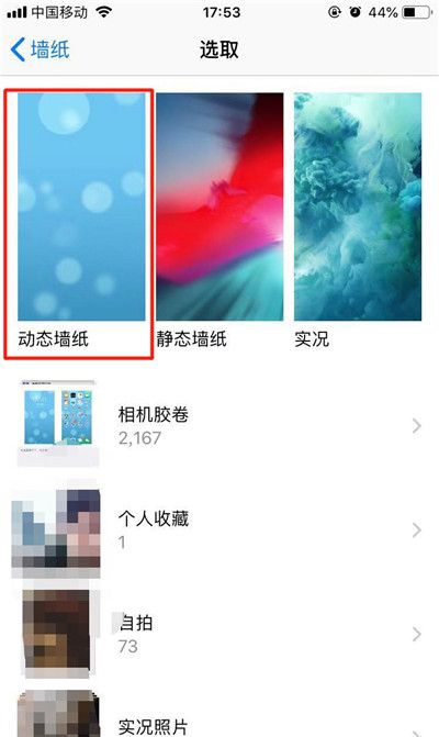 苹果xs设置动态壁纸的操作流程截图