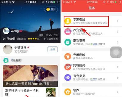 有宠app发布求助的操作过程截图