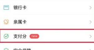 微信支付分进行关闭的操作方法截图