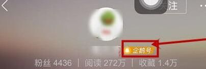 在天天快报里发出自己文章的图文操作截图