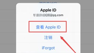 iphone12在哪关闭app store的自动续费功能 苹果12苹果商城关闭自动续费步骤截图