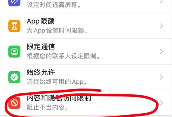 iphone手机访问限制功能在哪里?iphone手机设置访问限制方法介绍截图