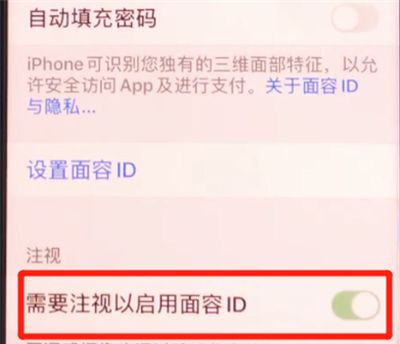 iphone11中使用面容id的详细方法截图