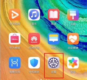 华为mate30pro设置显示实时网速的操作步骤截图