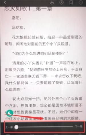 在熊猫看书APP中调整进度的具体方法截图