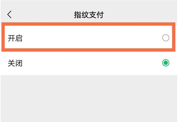 苹果13微信如何启用指纹支付？苹果13设置微信指纹付款教程截图