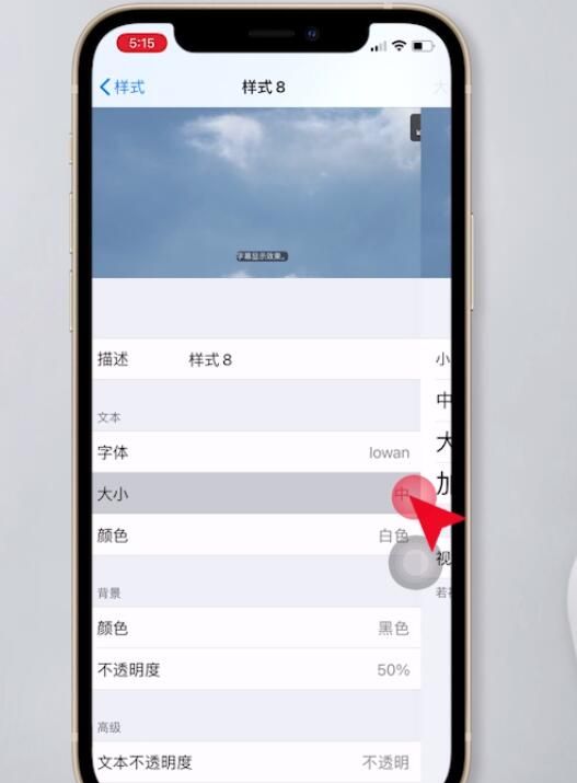 苹果手机如何设置字体样式?苹果手机更改字体教程介绍截图