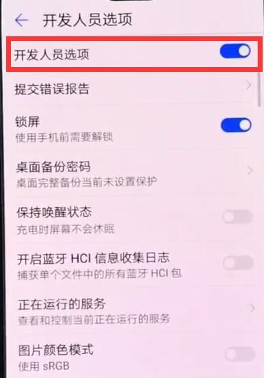 华为手机中打开开发人员选项的详细步骤截图