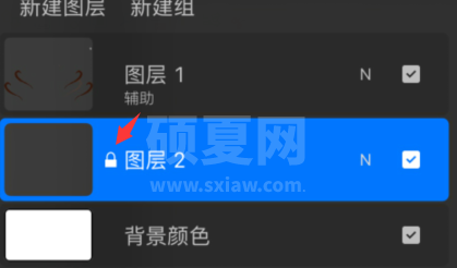 procreate pocket怎么锁定图层?procreate pocket锁定图层步骤介绍截图
