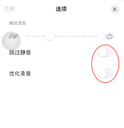 iOS15如何开启语音备忘录跳过静音?iOS15语音备忘录跳过静音开启方法截图