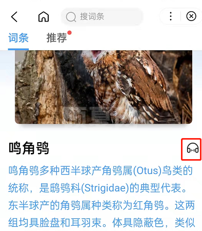 百度百科怎么设置后台播放?百度启用百科悬浮窗模式方法截图