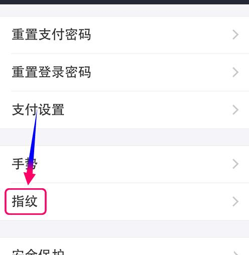 支付宝APP取消指纹支付的操作过程截图