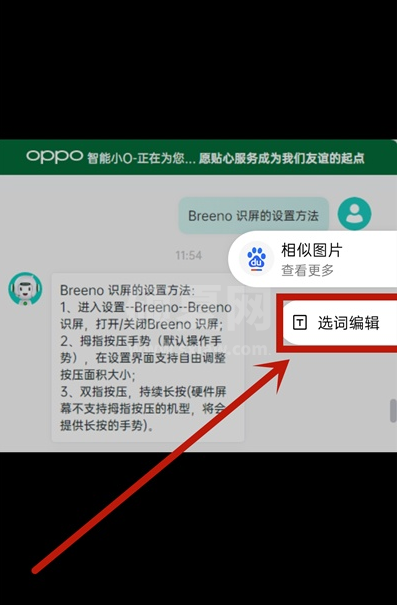 opporeno5pro如何提取文字 opporeno5pro提取文字教程截图