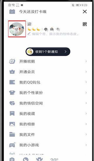 qq人生成就怎么关?qq中闭关人生成就的教程截图