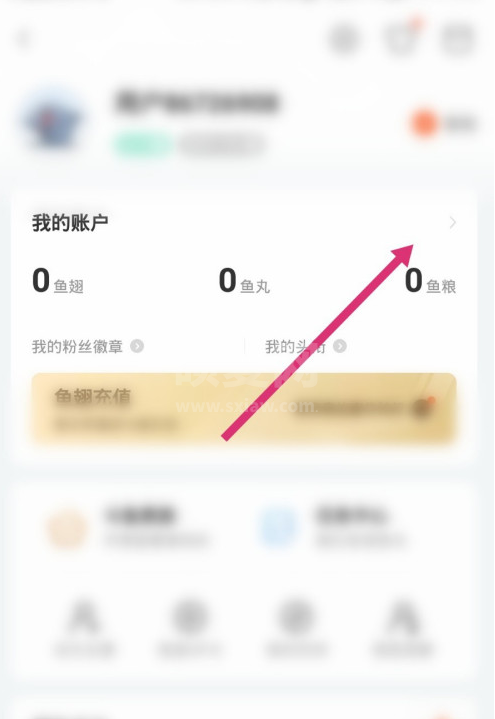 斗鱼消费记录怎么看 斗鱼查询消费记录方法截图