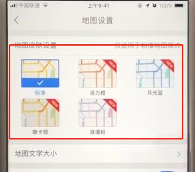 高德地图中设置地图皮肤的简单方法截图