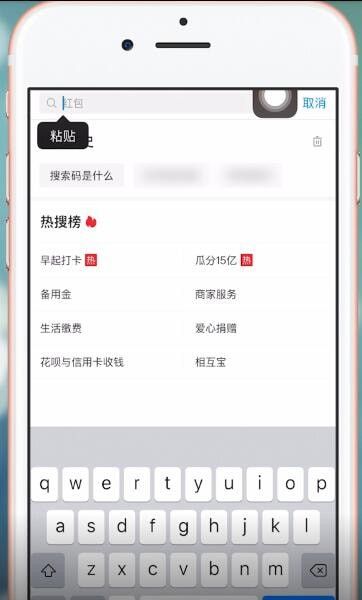 在支付宝里进行粘贴搜索码的图文操作截图