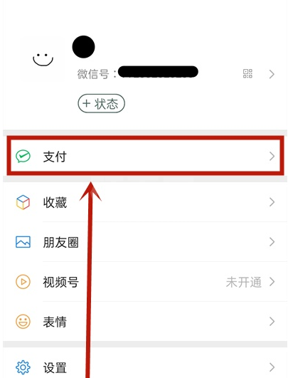 微信如何关闭钱包金额隐私保护 微信关闭钱包金额隐私保护教程截图