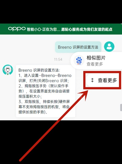 opporeno5pro如何提取文字 opporeno5pro提取文字教程截图