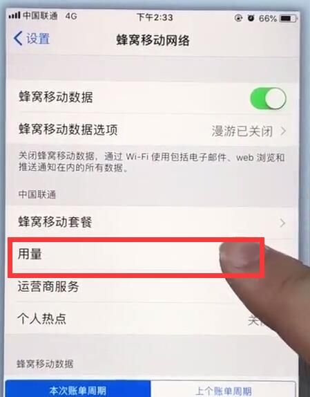 在苹果7plus中查看移动流量的详细讲解截图