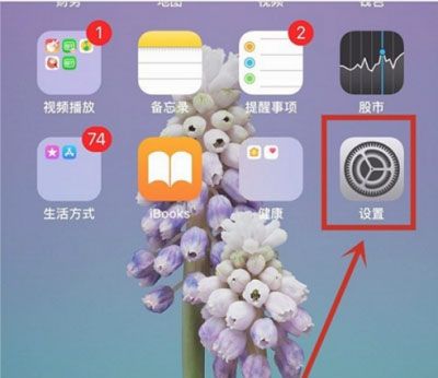 iPhone13怎么关闭自动亮度?iPhone13关闭自动亮度教程