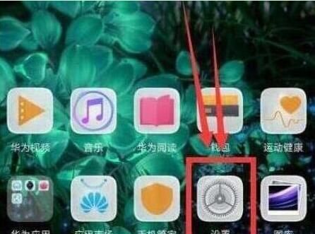 荣耀手机显示步数的操作方法截图