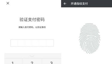 vivoy93s中打开微信指纹支付的具体操作截图