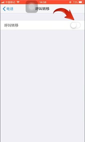 苹果手机中设置呼叫转移的具体操作步骤截图
