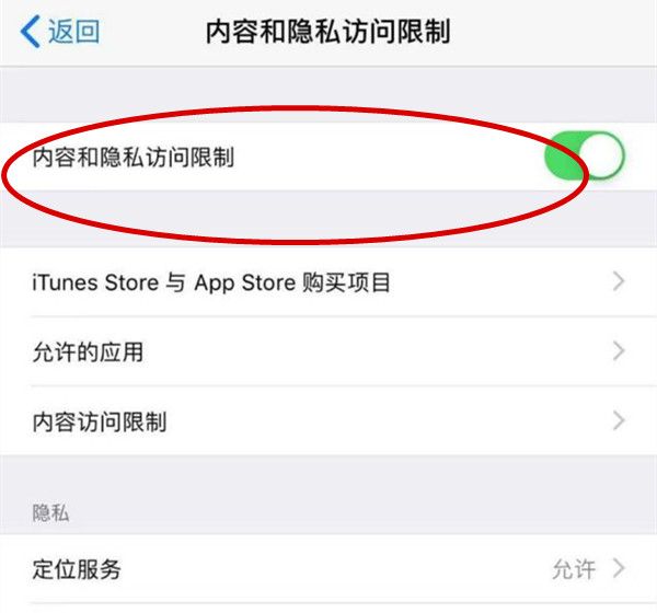 iphone手机访问限制功能在哪里?iphone手机设置访问限制方法介绍截图