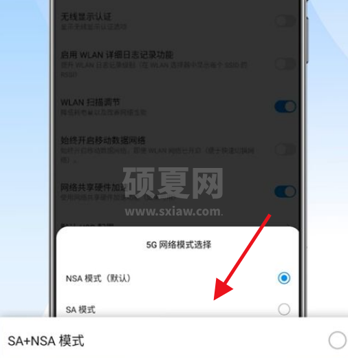 中兴远航20pro怎么设置SA模式？中兴远航20pro设置5G上网模式教程截图