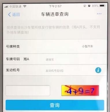 支付宝查询车辆违章信息的操作教程截图