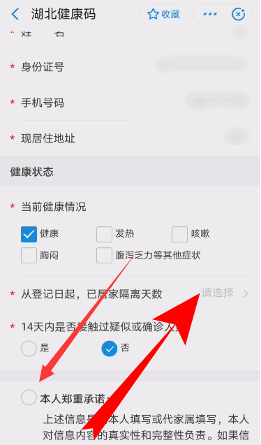 支付宝湖北健康码打卡申请方法介绍截图