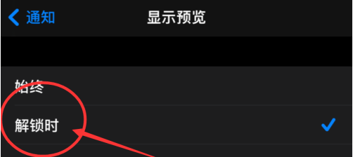 iPhone12怎么不显示通知预览 iPhone12设置显示消息通知的方法截图