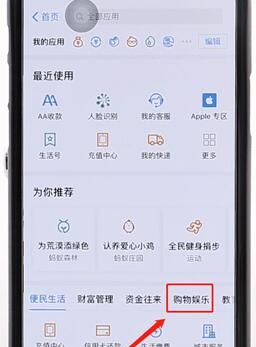 使用支付宝刷脸支付的详细操作截图