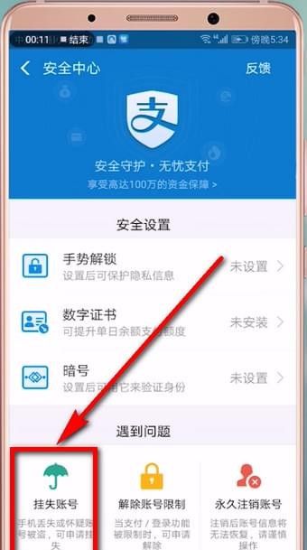 支付宝账号进行挂失的具体操作截图