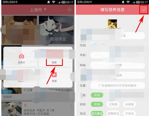 在闻闻窝APP里发领养信息的具体操作截图