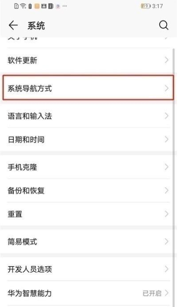 华为nova 5i pro设置虚拟按键的操作流程截图