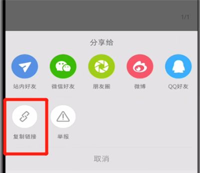 小红书中复制链接的详细步骤截图