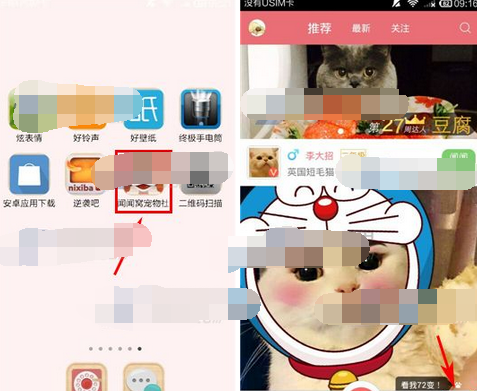 在闻闻窝APP里发领养信息的具体操作截图