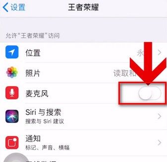 王者荣耀不能语音的处理操作讲解截图