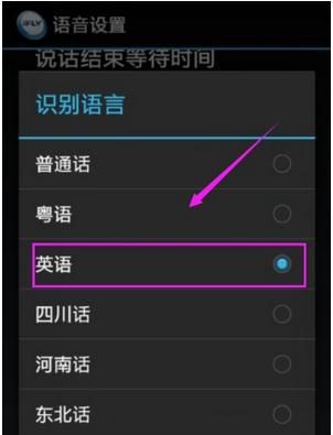 讯飞输入法设置识别语言的操作教程截图