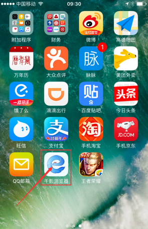 千影浏览器手机版清掉记录的基础操作截图