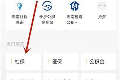 微信怎么查询参保信息?微信查询参保信息的方法截图