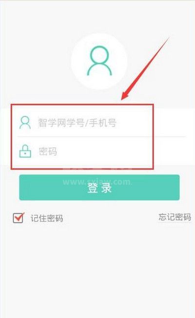 智学网怎么查看年级排名？智学网查看年级排名的方法截图