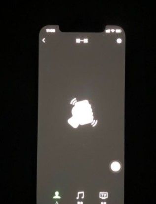 iphone12绿屏怎么办？iphone12绿屏能退货吗？截图