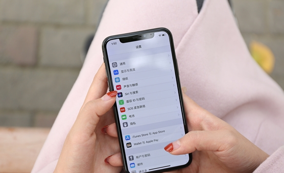 iPhone X/8/8 Plus出现假死/黑屏的解决措施