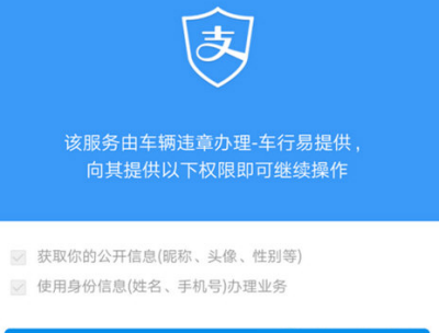 支付宝APP设置车辆年检提醒的操作过程截图