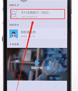 使用支付宝刷脸支付的详细操作截图